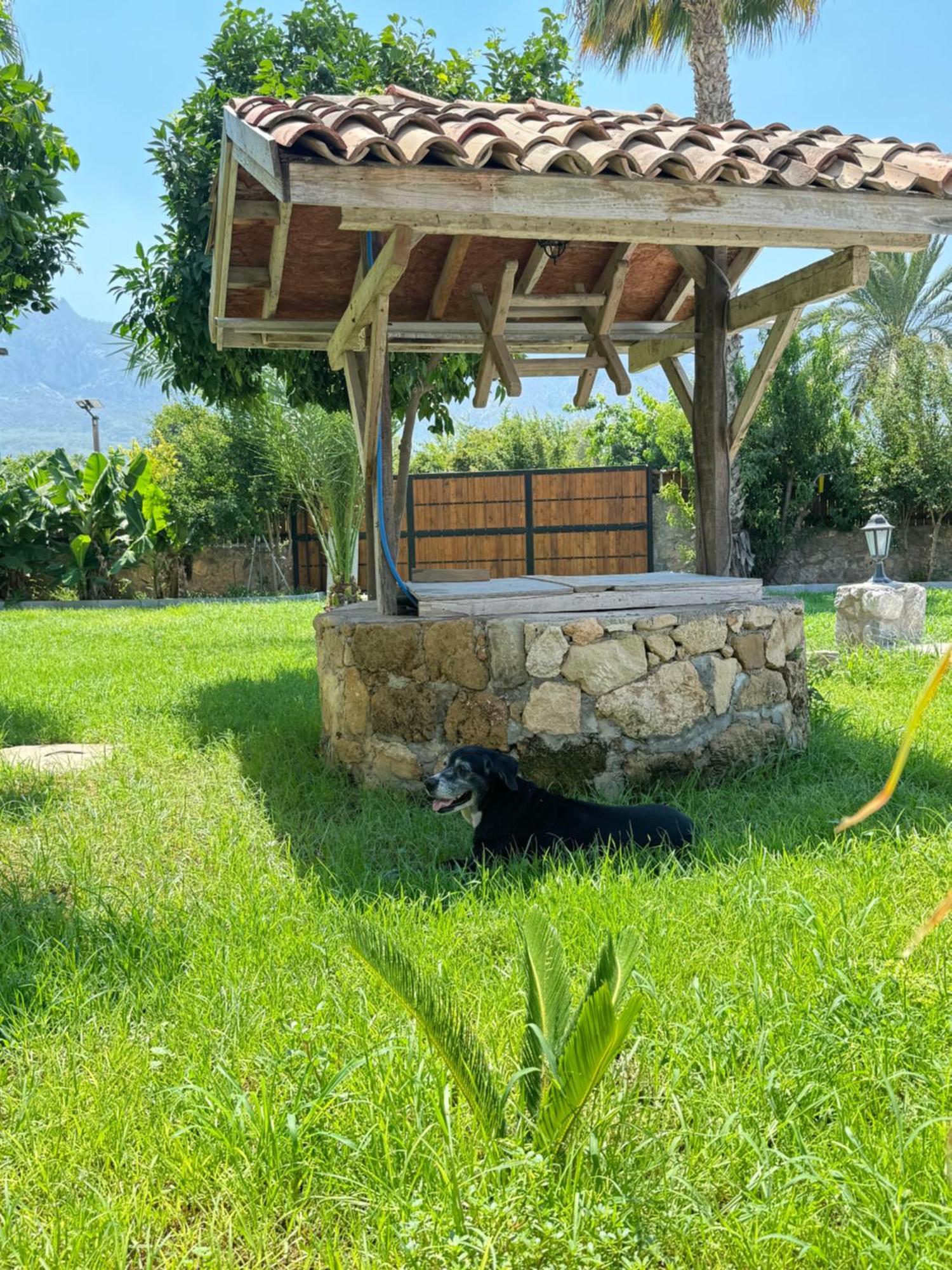 The Horse Farm Hotel Agios Georgios  Eksteriør billede
